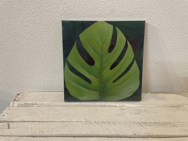 Wandbild Monstera Botanik Trend 20x20 cm - Neu in Folie